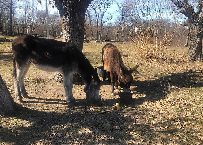 펜션 La Callejuela *